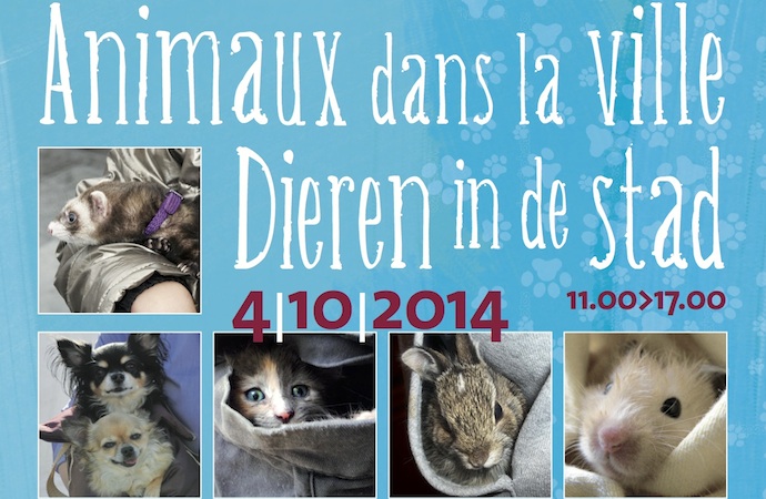 Rejoingnez-nous pour "Animaux dans la ville" ce samedi à Flagey