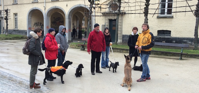 Premiers pas des chiots dans leur vie de futur chien guide 