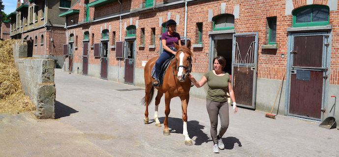 Equitation