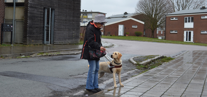 Du 19 au 30 mars, Betty et Pika ont vécu un moment important de leur aventure en duo : le stage de remise. Des jours durant, Nicolas et Penelope se sont calqués à la vie de Betty afin de l'accompagner dans son changement de vie.