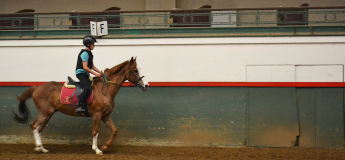 Il y a plus de 3 ans, la Fondation I See, en partenariat avec le Royal Étrier Belge, a mis sur pied des cours d'équitation à destination des personnes déficientes visuelles. Même si les cours sont individuels au départ, le but final est de permettre aux participants de rejoindre les cours collectifs et les stages de vacances avec des voyants. Théo, 12 ans, est le tout premier cavalier "I See" a avoir relevé le défi !