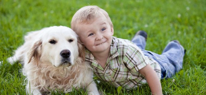 Nous rêvions de ce projet depuis des années, et grâce à vous et #labCAP48 nous avons une chance de le réaliser : des chiens d'éveil pour jeunes enfants déficients visuels. Nous avons été sélectionnés par Cap48 et CBC pour mettre en place un crowdfunding.