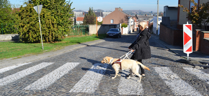 Le mardi 9 octobre, nous avons officiellement certifié un nouveau duo : Betty et Pika. Le trajet de certification nous a conduits dans les rues de Couillet et Montigny-sur-Sambre, jusqu'au marché où Betty se rend toutes les semaines pour faire ses courses.