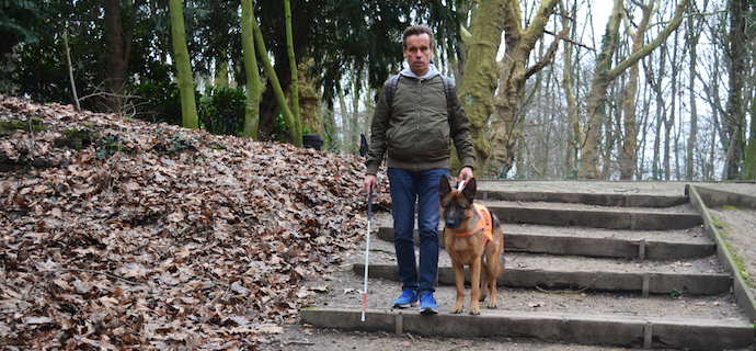 Du 7 au 18 janvier a eu lieu le stage de remise de notre tout premier duo de 2019 : Frédéric, notre cher président, et Queyras. Il s'agit d'une étape importante dans le processus d'attribution d'un chien-guide !