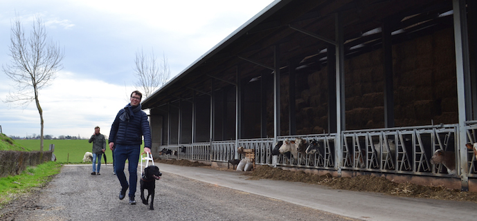 Le mercredi 6 mars, nous avons officiellement certifié Victor et Porthos. Pour la certification, nous avons retrouvé notre duo à Villers-l'Evêque, une section de la commune d'Awans, où vivent les parents et les frères de Victor.