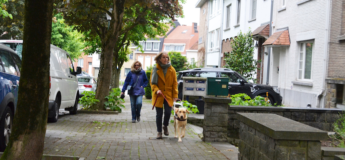 Félicitations à Sylvie et Puzzle, notre deuxième duo certifié de l'année 2019 ! Le binôme est devenu officiel le lundi 20 mai à l'issue d'un très bon trajet de certification dans les rues d'Uccle, une commune de Bruxelles !